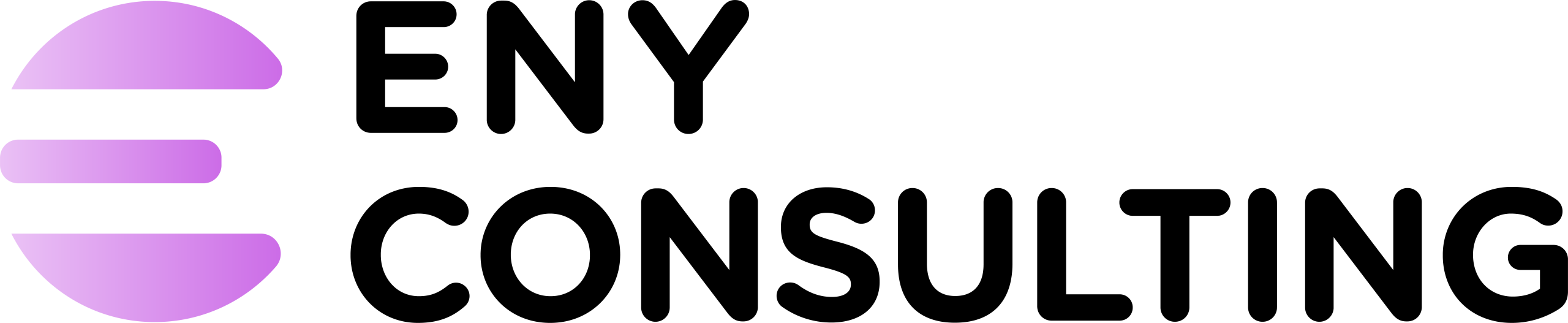 ENY CONSULTING LOGO 2